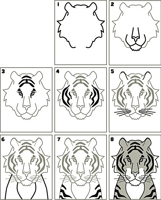 A simple step-by-step way to draw a cartoon tiger head - Way 5