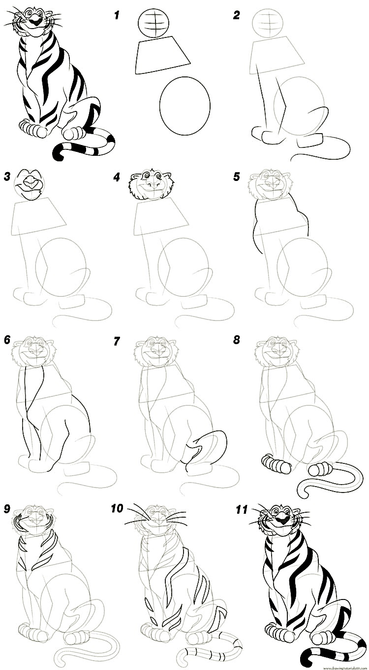 A simple step-by-step way to draw a tiger - Guide 5
