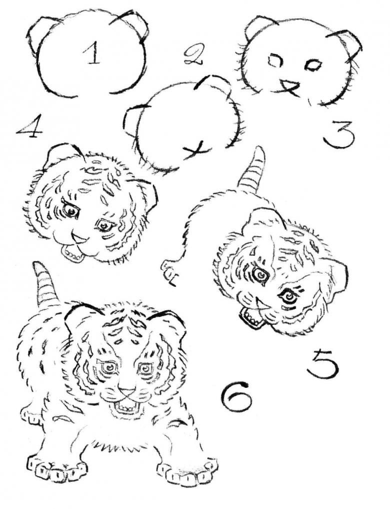 A simple step-by-step way to draw a cartoon tiger cub - way 1A simple step-by-step way to draw a cartoon tiger cub - way 9