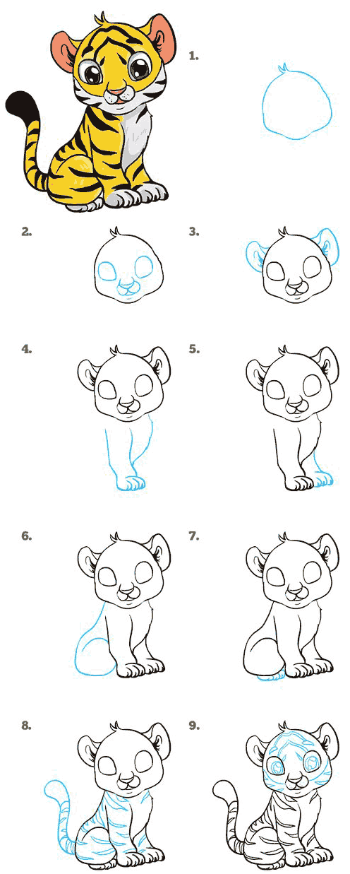 A simple step-by-step way to draw a cartoon tiger cub - way 8
