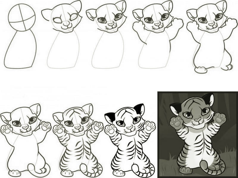 A simple step-by-step way to draw a cartoon tiger cub - way 12