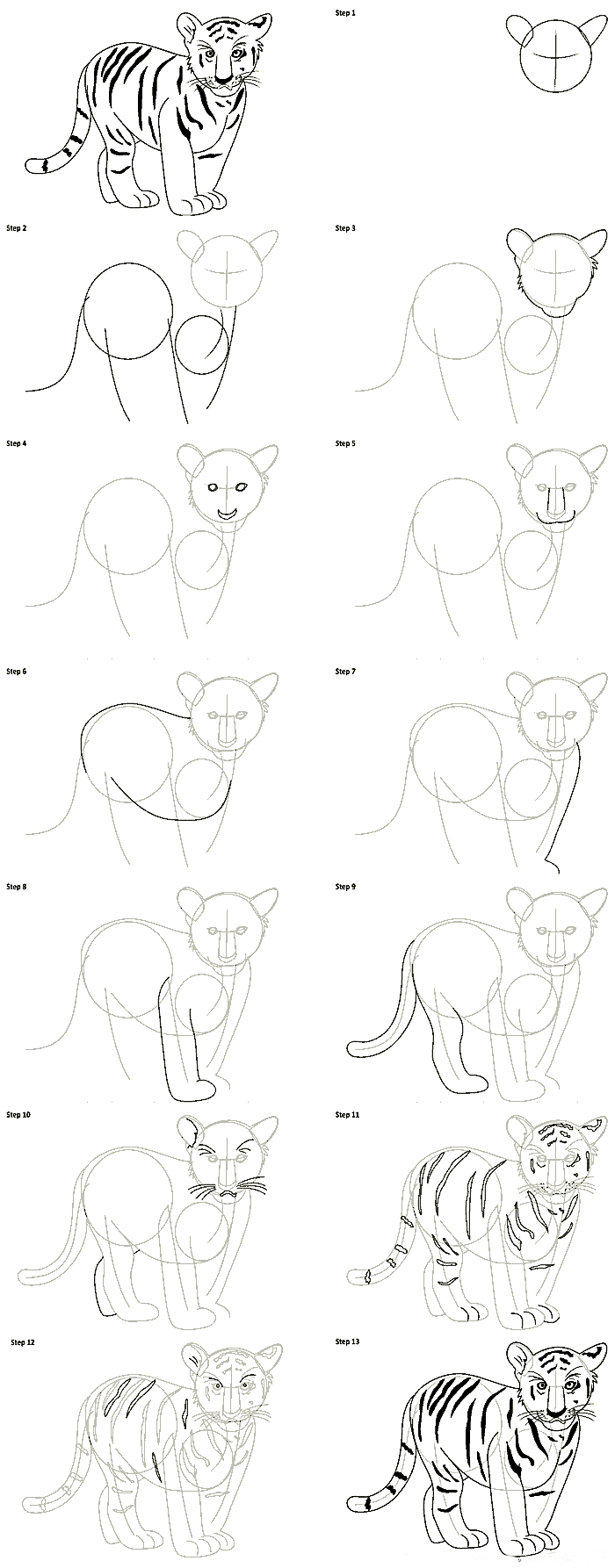 Realistic tiger as in nature how to draw step by step way 5