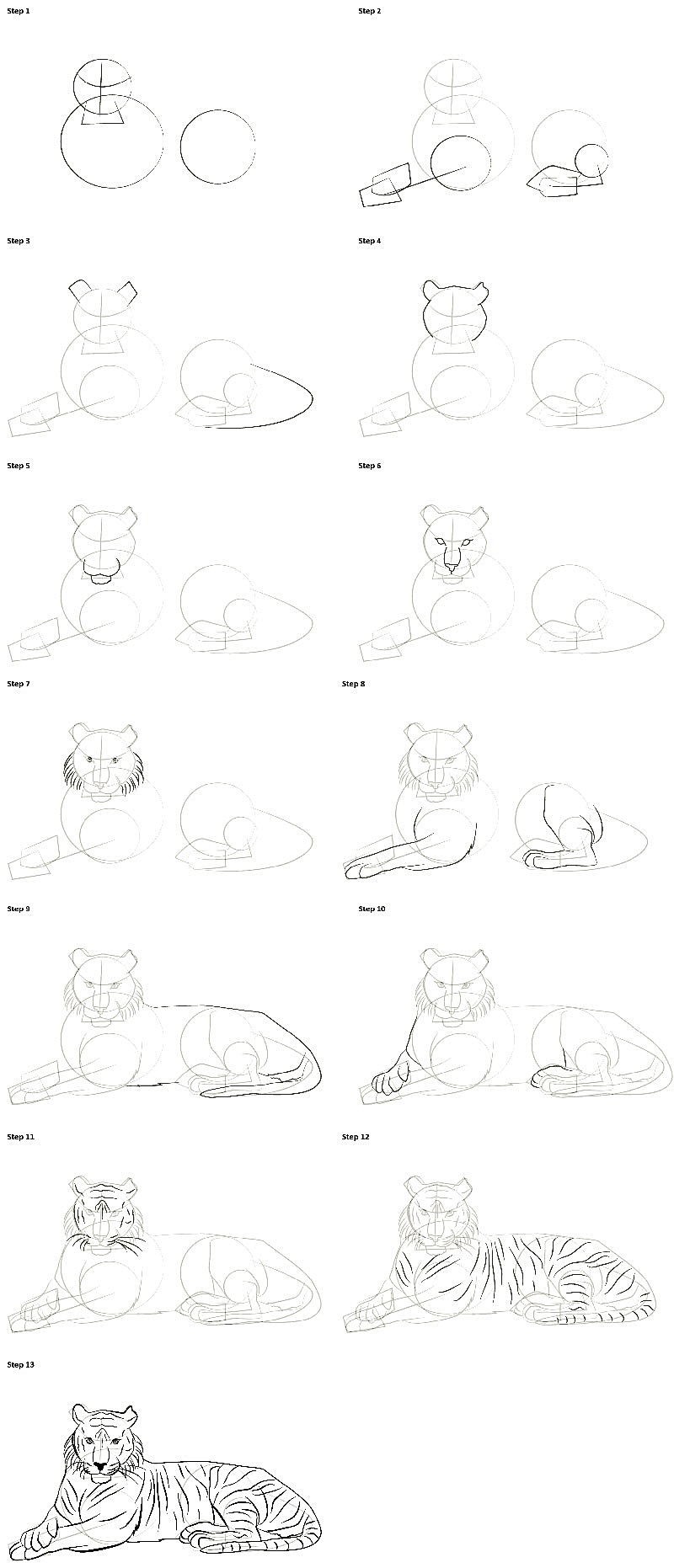Realistic tiger as in nature how to draw step by step way 3